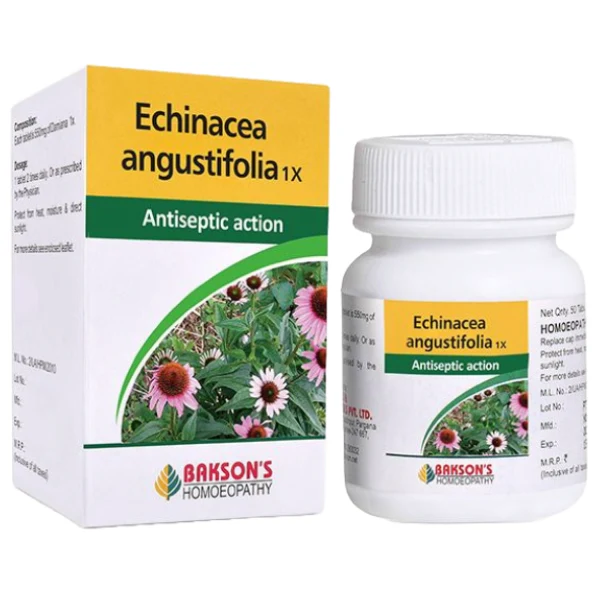 Echinacea Q