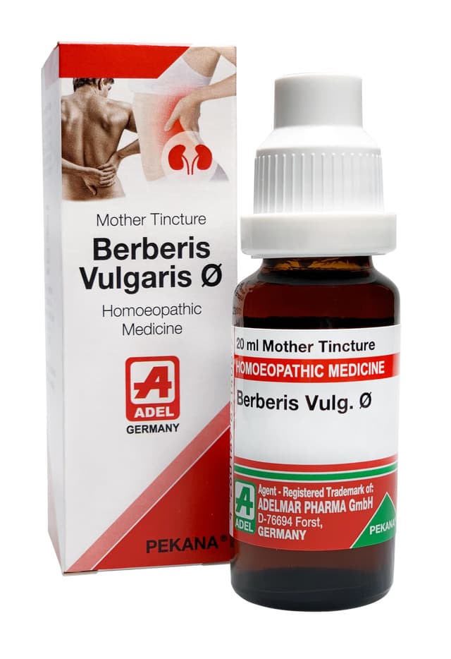 Dr. Reckeweg Berberis Vulgaris 12X Standard